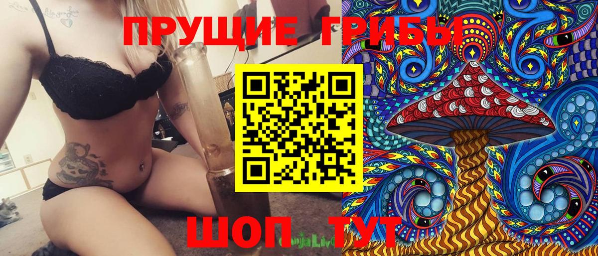 Псилоцибиновые грибы прущие грибы Нальчик